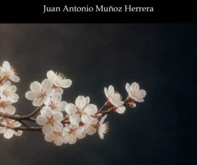 Clitemnestra, de Juan Antonio Muñoz Herrera - Portada